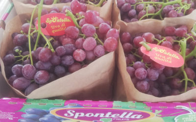 Spontella Fruits: anche nel 2019 crescita in controtendenza